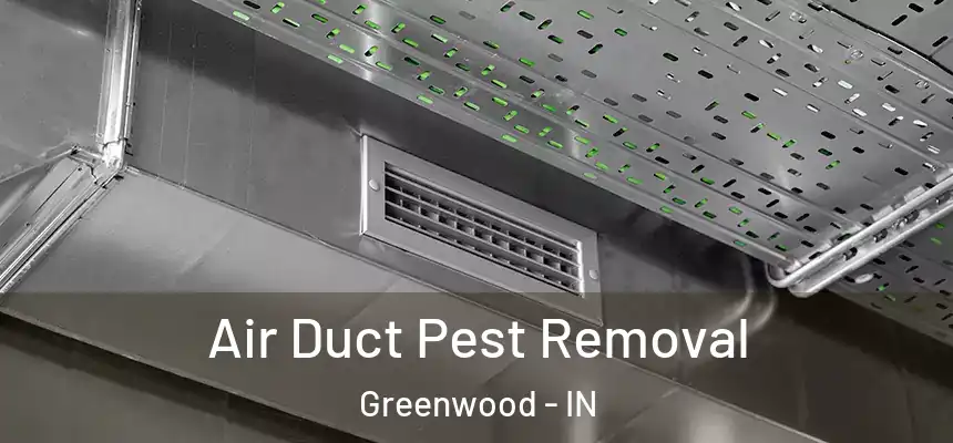  Air Duct Pest Removal Greenwood - IN