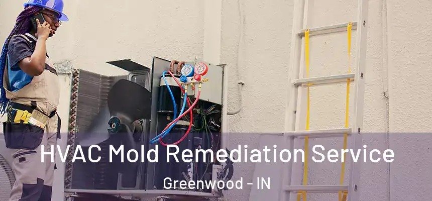  HVAC Mold Remediation Service Greenwood - IN