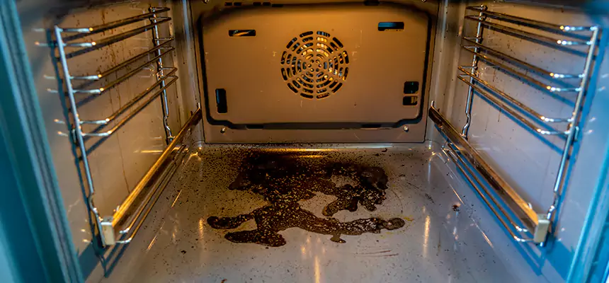 Our Dryer Vent Mold Cleaning Services in Greenwood, IN