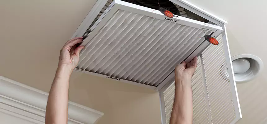 Our Insect Removal from Air Ducts Services in Greenwood, IN