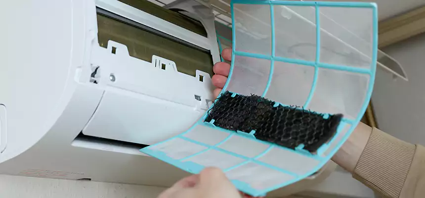 Gentle Ductwork Odor-Control Pet Dander Duct Cleaning in Greenwood, IN