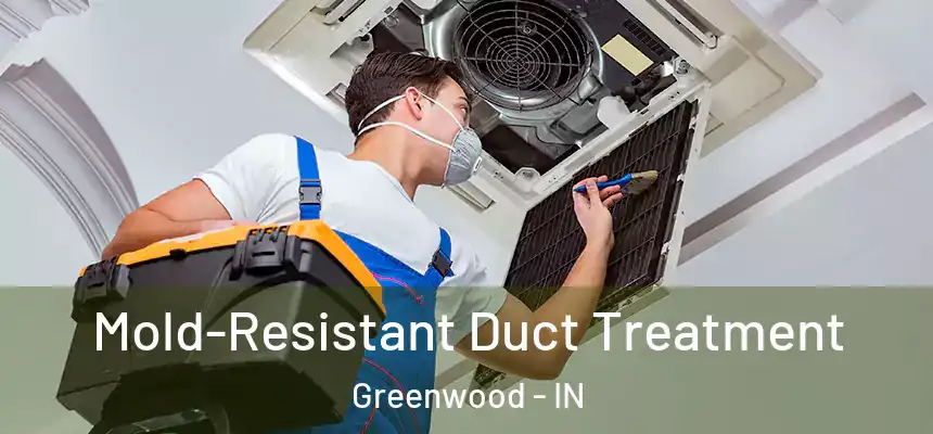  Mold-Resistant Duct Treatment Greenwood - IN