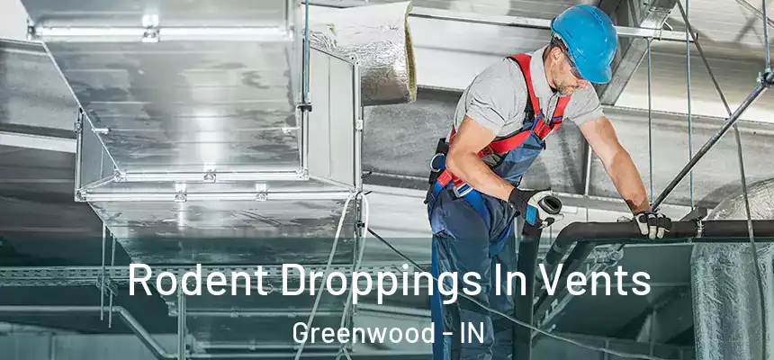  Rodent Droppings In Vents Greenwood - IN