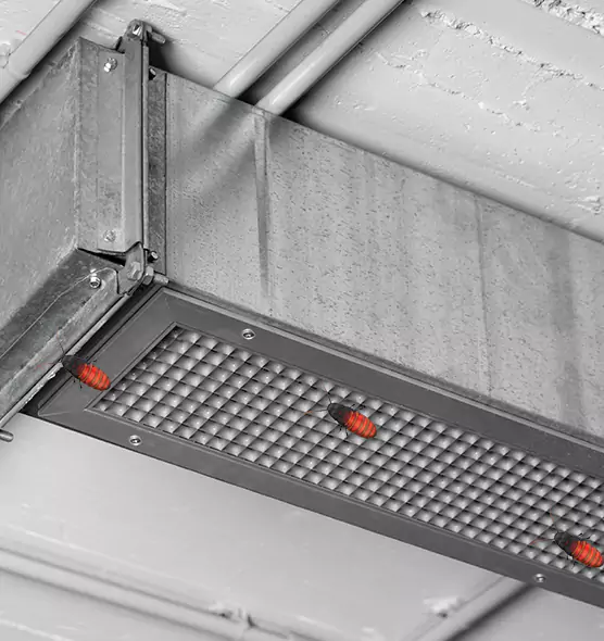 About Air Duct Cockroach Removal in Greenwood, IN