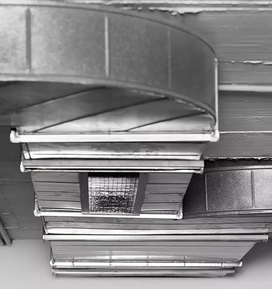 Professional Air Duct Pet Hair Removal in Greenwood, IN