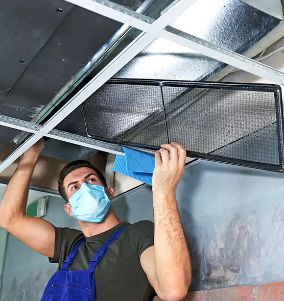 Professional Air Duct Pollen Cleaning in Greenwood, IN