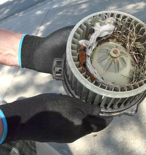 About Air Duct Rat Removal in Greenwood, IN