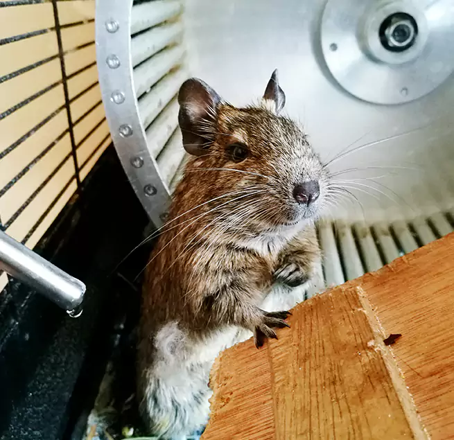 Why Homeowners & Businesses Trust Us Greenwood, IN