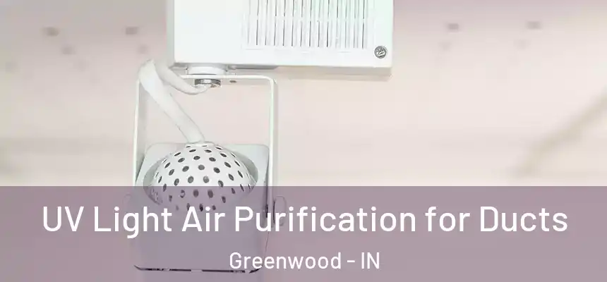  UV Light Air Purification for Ducts Greenwood - IN
